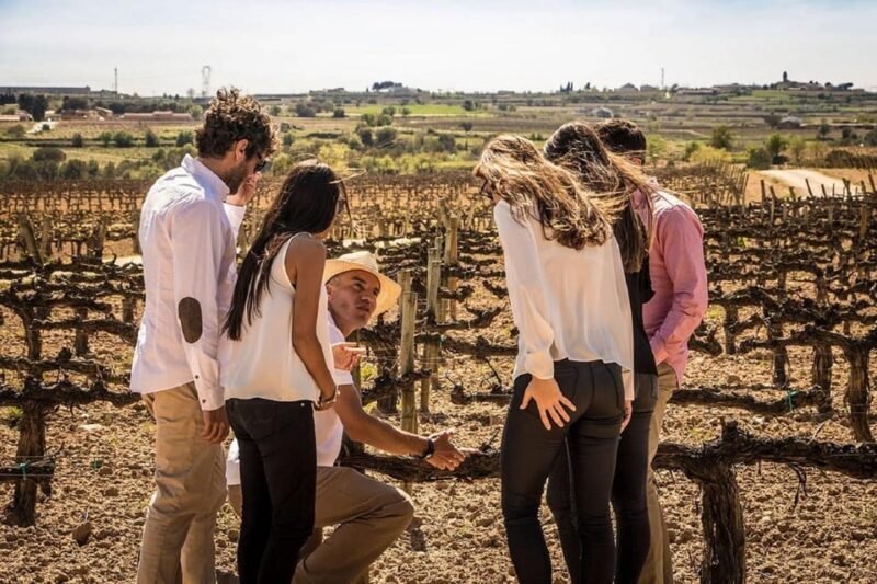 Barcelona: Sailing and Alella Winery Tour with Wine Tasting - Key Points