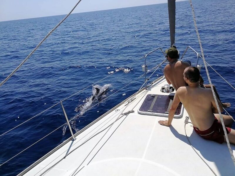 Barcelona: Sailing Trip with Drinks and Snacks - Key Points