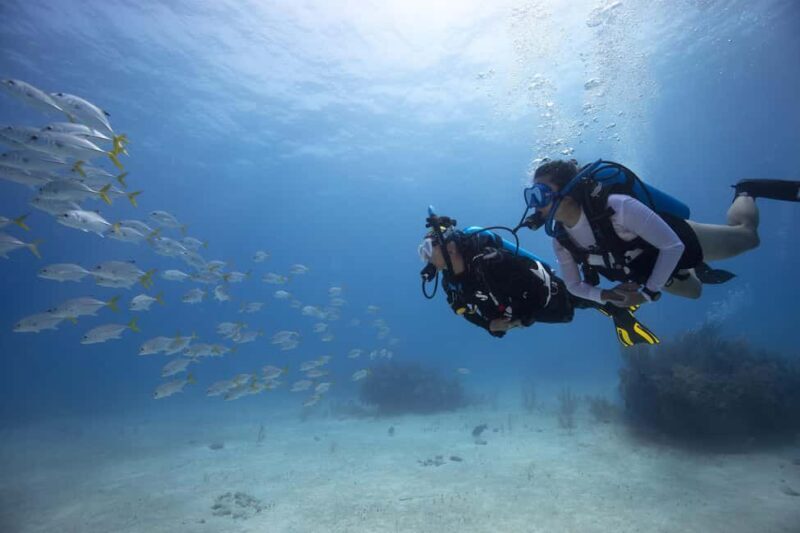BARCELONA: SCUBA DIVING INITIATION - Dive in and experience underwater adventures - 2 hours - A Deep Dive into the Experience
