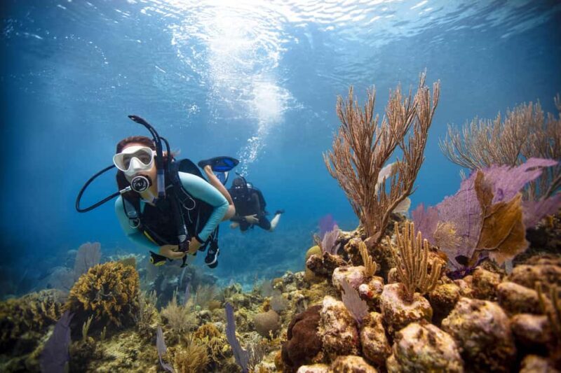 BARCELONA: SCUBA DIVING INITIATION - Dive in and experience underwater adventures - 2 hours - Why This Tour Offers Great Value