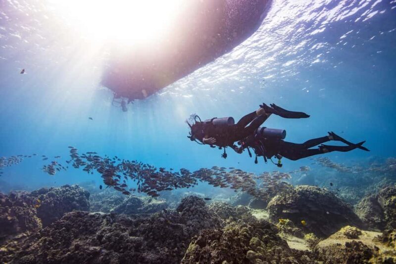 BARCELONA: SCUBA DIVING INITIATION - Dive in and experience underwater adventures - 2 hours - Frequently Asked Questions