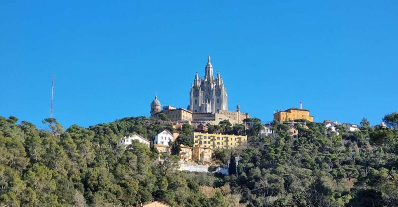 Barcelona Secret Forest: Nature Hike & Best Views - Authentic Insights from Past Travelers
