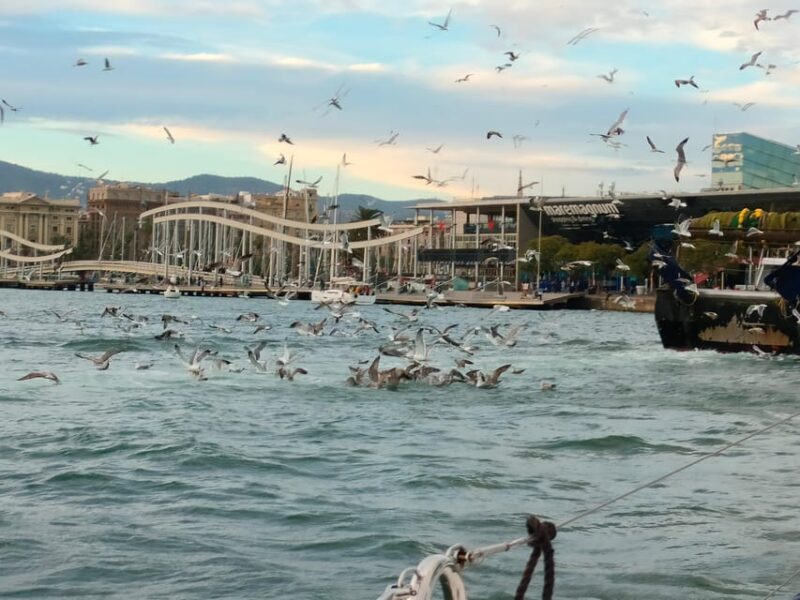 Barcelona: Sunset Cruise with Snacks and Drinks - Barcelona: Sunset Cruise with Snacks and Drinks – A Practical Guide