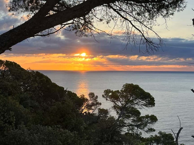 Barcelona: Tossa de Mar & Costa Brava very small group - Why This Tour Offers Excellent Value