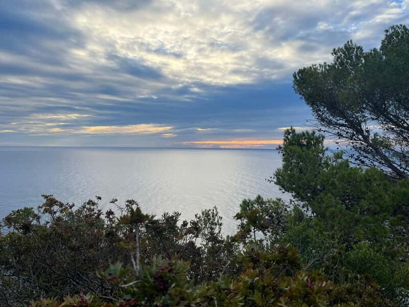 Barcelona: Tossa de Mar & Costa Brava very small group - Authentic Testimonials from Travelers