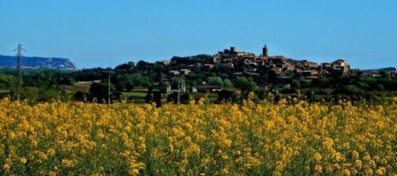 Barcelona: Tour Besalu, Peratallada and pals - Key Points