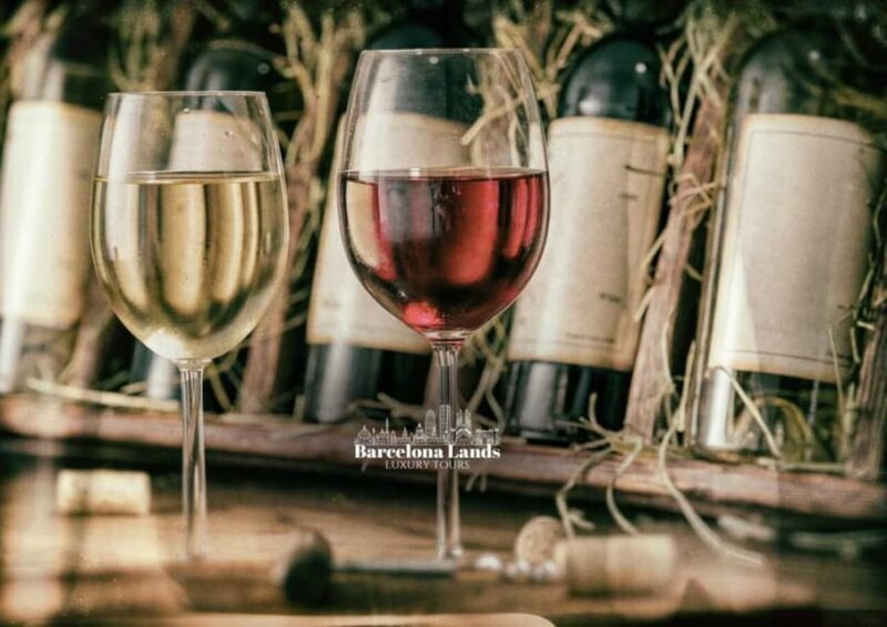 Barcelona: Tour Luxury for Priorat, Wine tasting & Lunch - Experience the Best of Priorat: A Luxury Wine Tour from Barcelona