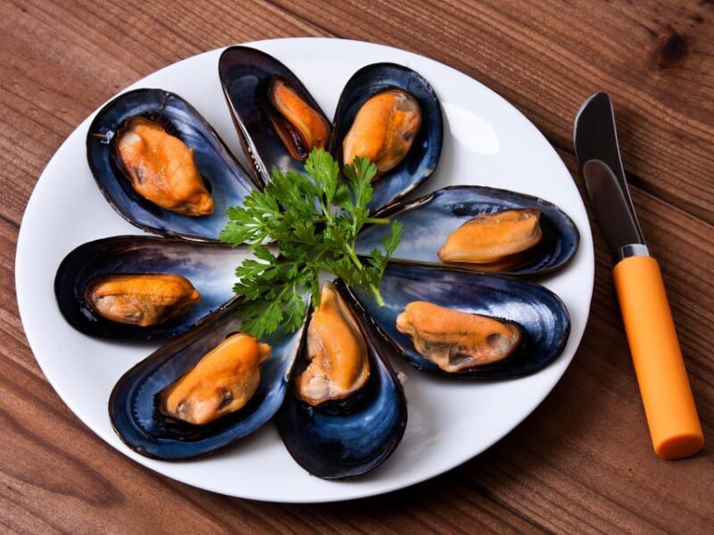 Barcelona: Tour: Mussels, Rice Plantation and Paella - What Travelers Say: Authentic Experiences and Foodie Highlights