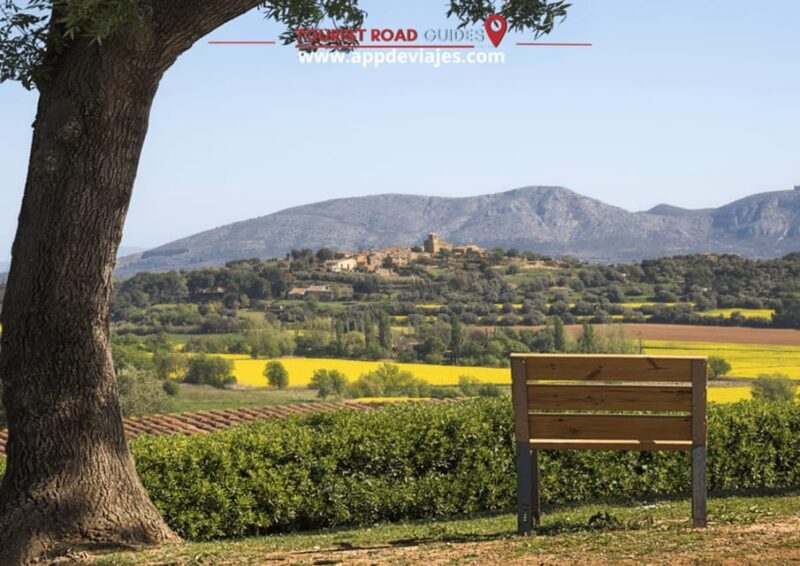 Barcelona: Tour Private Besalu, Dalí & Wine Tasting - A Deeper Look at the Tour Experience