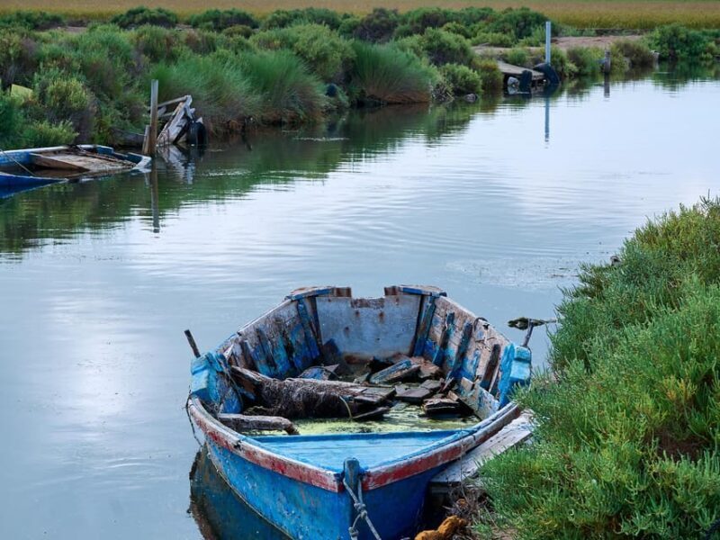 Barcelona: Tuna Baths in the Ebro Delta Route and Olive Tree Tour - Final Thoughts: Is It Worth It?