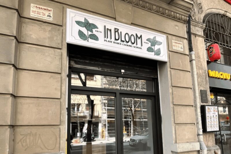 Barcelona: Vegan Paella and traditional rice dishes - Barcelona: Vegan Paella and Traditional Rice Dishes
