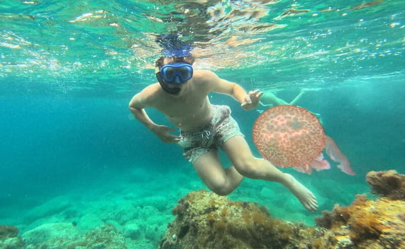 Barcelona Wild Experience: Kayak & Snorkel in Costa Brava - Frequently Asked Questions