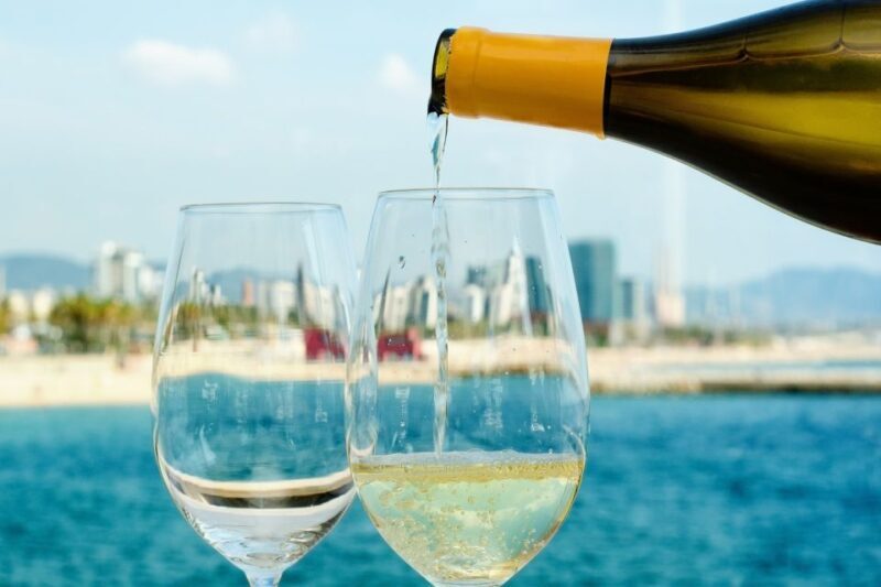 Barcelona Wine Tasting Private Tour with Wine Expert - Key Points