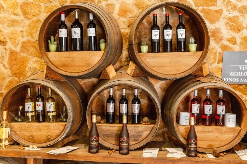 Barcelona Wine Tasting Private Tour with Wine Expert - Final Thoughts on Value and Experience