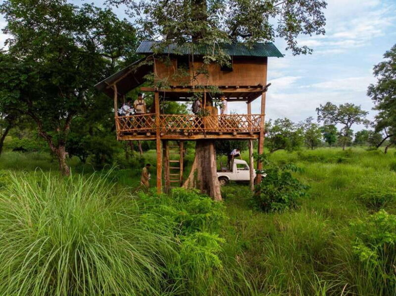 Bardiya National Park: Treehouse Stay with Wildlife Safari - Key Points