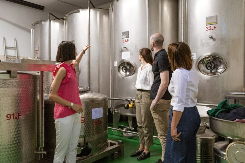 Bardolino: Lake Garda Oil Mill Tour with Olive Oil Tasting - A Closer Look at the Bardolino Olive Oil Tour
