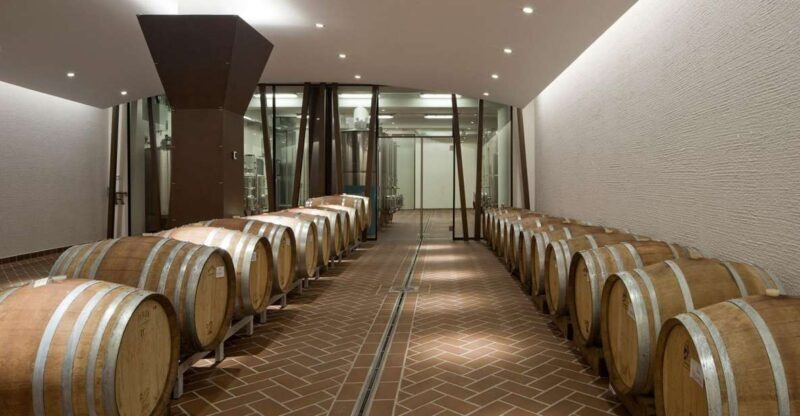 Bardolino: tasting of 6 red Valpolicella and Garda wines - A Taste of Bardolino: Exploring Six Red Wines from Garda and Valpolicella