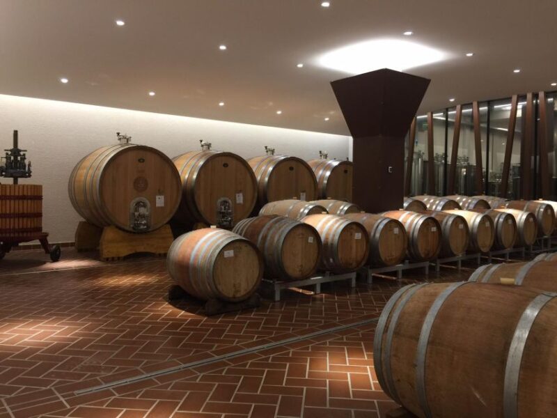 Bardolino: tasting of 6 red Valpolicella and Garda wines - Key Points