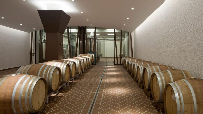 Bardolino: tasting of 6 White and Rosè wines with Lake view - Key Points