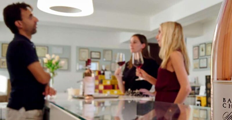 Bardolino: tasting of 6 White and Rosè wines with Lake view - Who Will Enjoy This Experience?