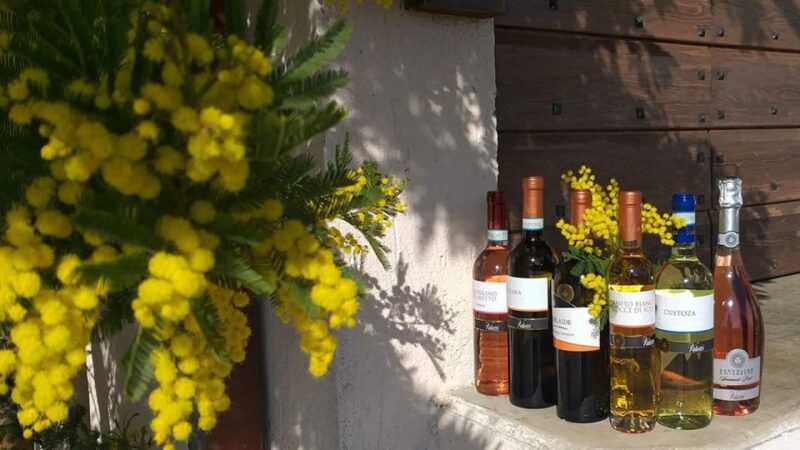 Bardolino: tasting of 6 White and Rosè wines with Lake view - Final Thoughts on Value and Authenticity