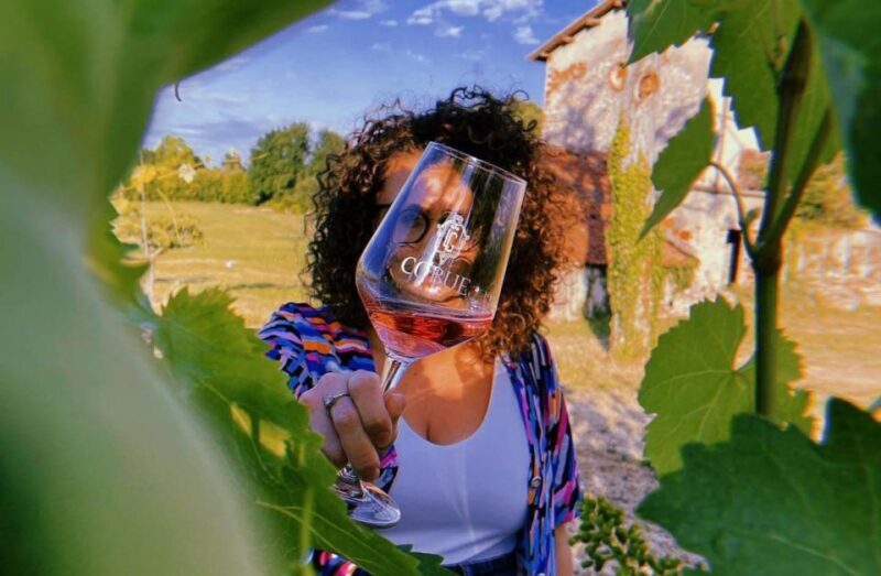 Bardolino: wine and food tasting on lake Garda Hills - Key Points