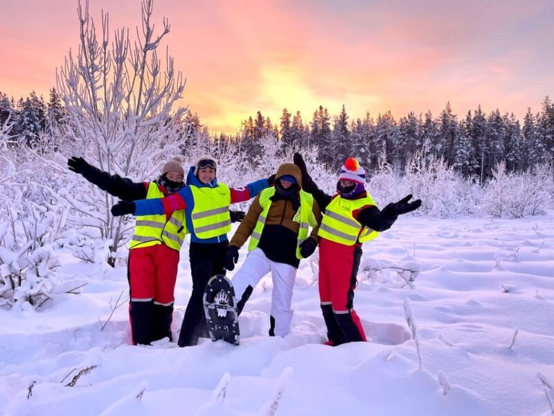 Bardufoss: Wild Moose Safari with Lunch - A Deep Dive into the Wild Moose Safari Experience