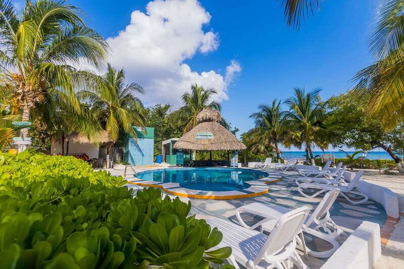 Barefoot Fish Cookout Cozumel - Detailed Breakdown of the Experience