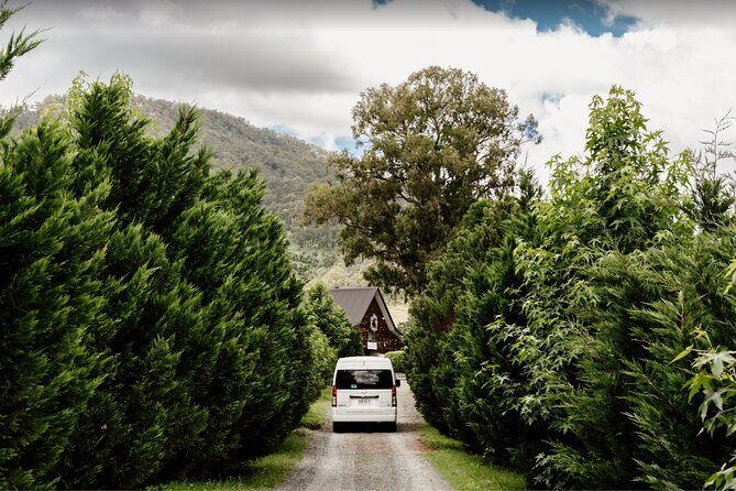 Barefoot Luxury Mount Tamborine Winery Tour from Brisbane - Who Should Consider This Tour?