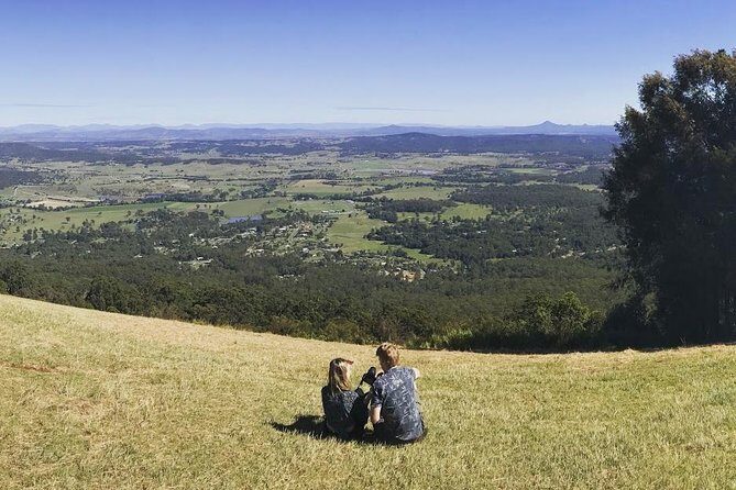 Barefoot Luxury Mount Tamborine Winery Tour from Gold Coast - A Deep Dive into the Mount Tamborine Winery Tour