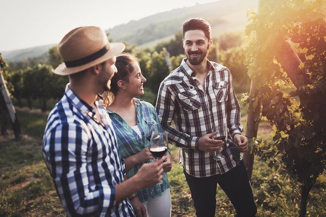 Barefoot Luxury Mount Tamborine Winery Tour from Gold Coast - What Could Be Better?