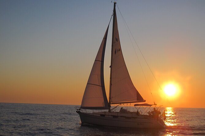 Bari sailing cruise in search of dolphins - Key Points