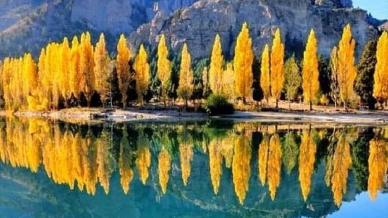 Bariloche: 7 Lakes & San Martin de Los Andes Road Trip - What Travelers Say: Authentic Feedback