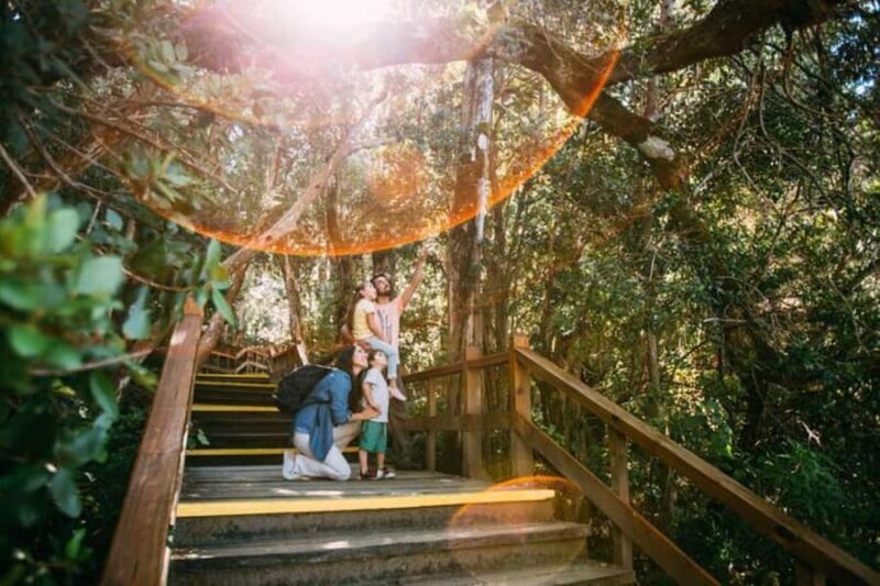 Bariloche: Arrayanes Forest and Victoria Island Tour - Detailed Review of the Arrayanes Forest and Victoria Island Tour