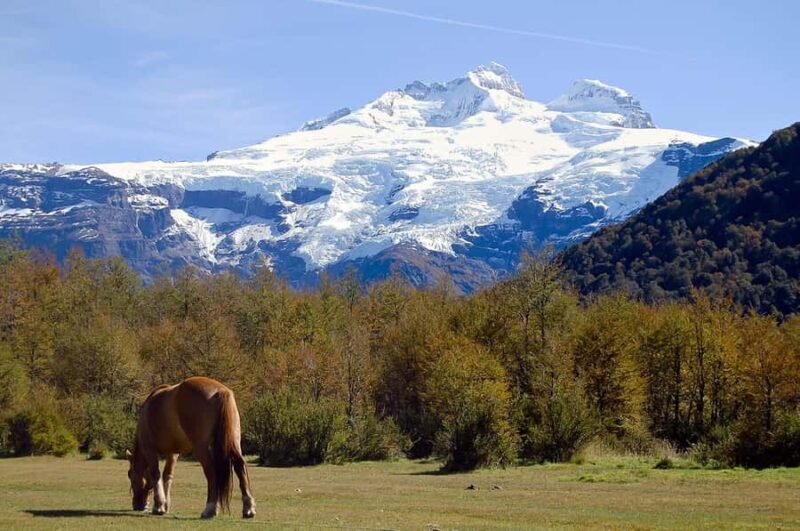 Bariloche: Cerro Tronador and Ventisquero Negro Glacier Tour - Key Points