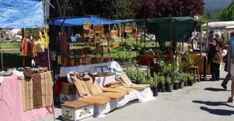 Bariloche: Full-Day El Bolsón and Puelo Lake Tour - The Full Experience: A Deep Dive into the Tour