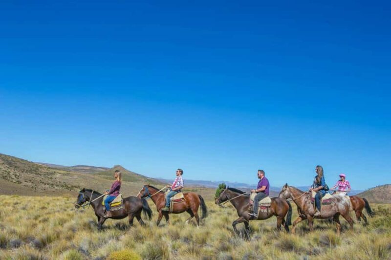 Bariloche: Guided horseback rides in the Patagonian steppe - An Authentic Day in Patagonia: What to Expect