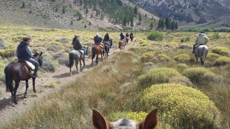 Bariloche: Guided horseback rides in the Patagonian steppe - The Sum Up