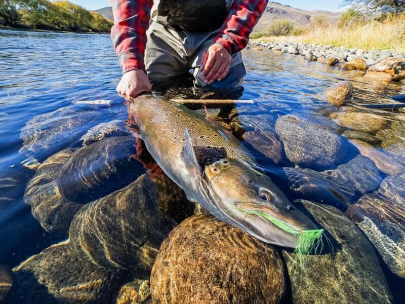 Bariloche: Limay River Fly-Fishing Float Trip - Who Should Think Twice?