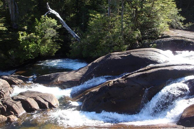 Bariloche: Puerto Blest, Cantaros Waterfall and Frias Lake - FAQs