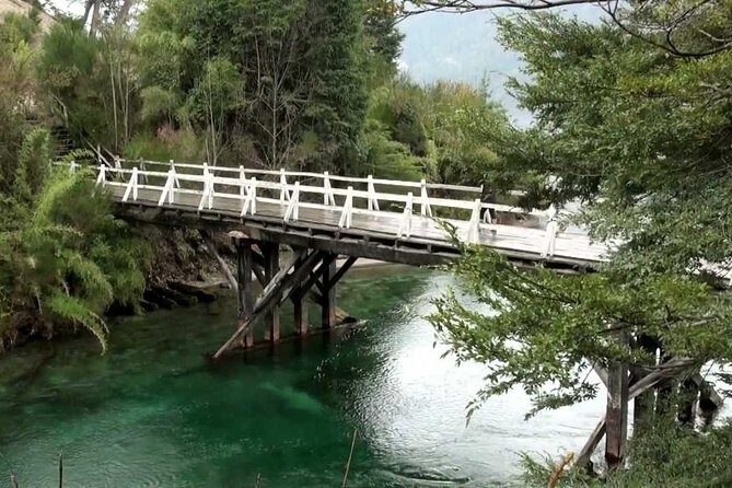 Bariloche San Martin de los Andes and Seven Lakes Road Tour - Who Will Love This Tour?