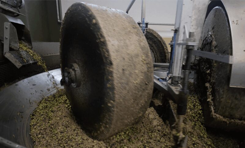 Barletta-Andria-Trani: oil mill tour and oil tasting - An In-Depth Look at the Olive Oil Tour Experience