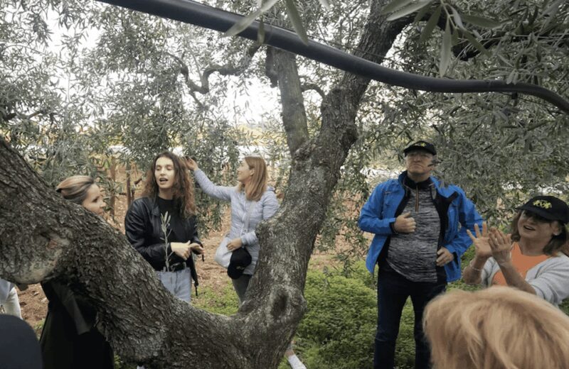 Barletta-Andria-Trani: oil mill tour and oil tasting - Final Thoughts
