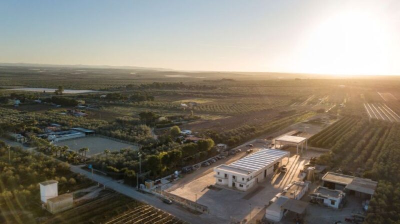 Barletta-Andria-Trani: oil mill tour and oil tasting - FAQs