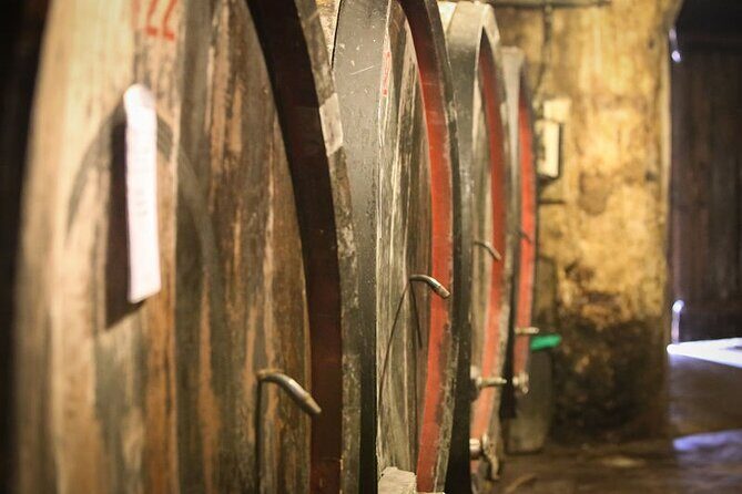Barolo & Barbaresco Wine Tour with a Winemaker - A Deep Dive into the Tour Experience