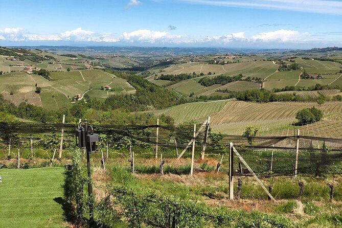 Barolo & CO: visit and tasting - A Deep Dive into the Experience
