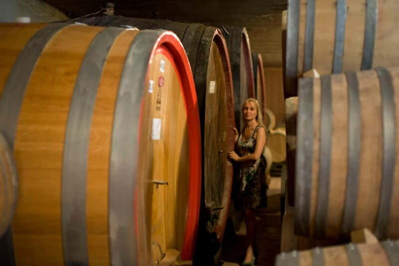 BAROLO: GUIDED VISIT TO THE WINERY AND TASTING WITH THE PRODUCER - Authentic Barolo with a Personal Touch: Guided Winery Visit and Tasting at Virna Borgogno