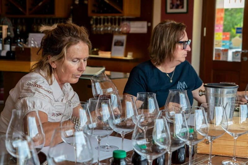 BAROLO: GUIDED VISIT TO THE WINERY AND TASTING WITH THE PRODUCER - Who Will Love This Tour?