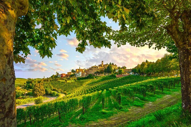 Barolo wine Tasting, Alba, UNESCO Castle: Small Group from Milan - An In-Depth Look at the Tour Itself