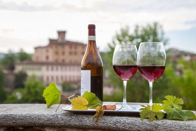 Barolo wine Tasting, Alba, UNESCO Castle: Small Group from Milan - The Sum Up